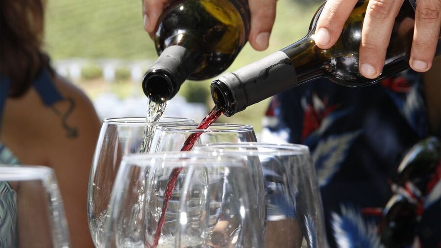 Porto: 3 Wine Regions & Farm Lunch with Views Small-Group - Pinhão winery visit: the DOC Douro tasting moment