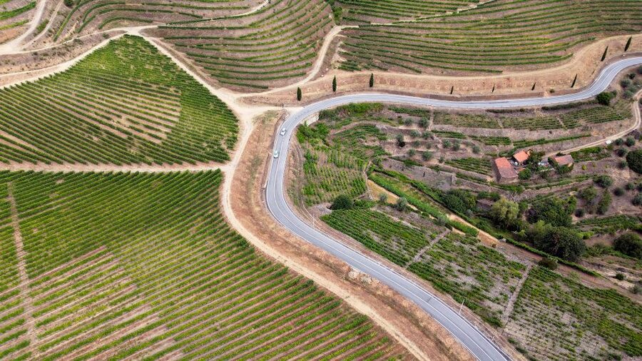 Porto: 3 Wine Regions & Farm Lunch with Views Small-Group - What you’ll actually taste: DOC Douro, Port, and why it matters