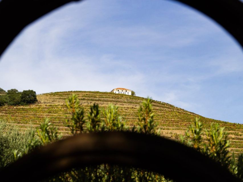 Porto: 3 Wine Regions & Farm Lunch with Views Small-Group - Comfort, clothing, and the little practical rules that save the day