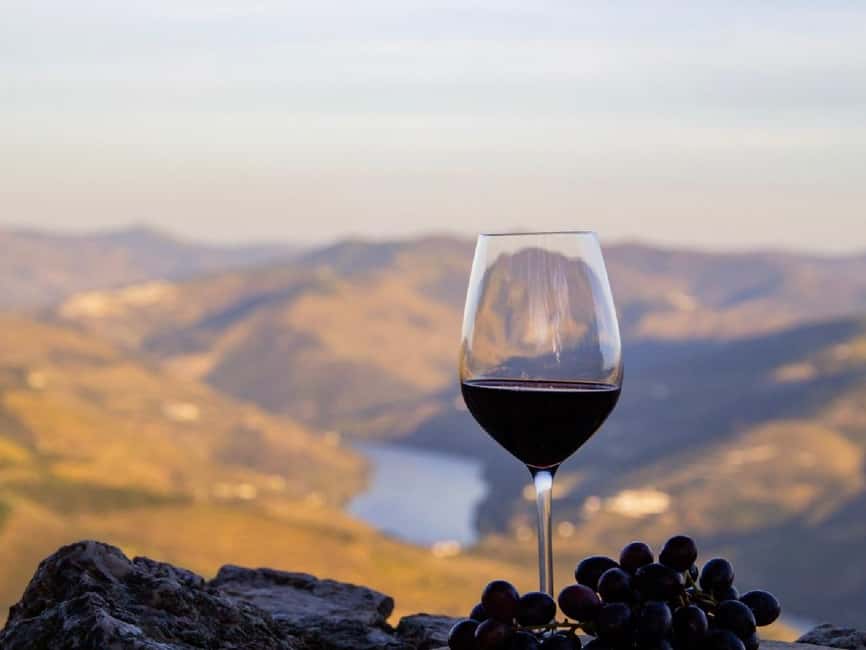 Porto: 3 Wine Regions & Farm Lunch with Views Small-Group - Price and value: does $118 hold up for a full wine-lunch day?