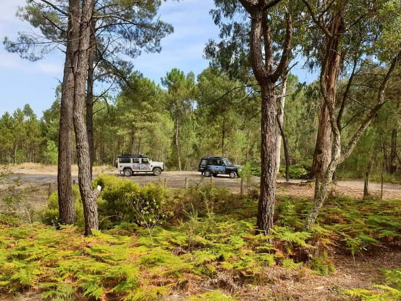Porto: 4x4 Mountain Tour - Who this tour is best for (and who should skip it)