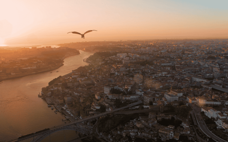 Porto: 5D Flight over de City for all family. - Why a 5D Dragon Flight Works for First-Time Porto Sightseeing