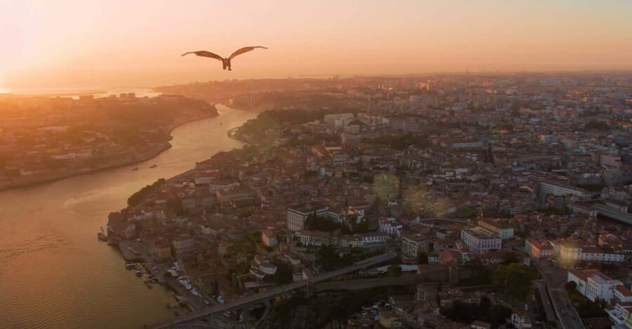 Porto: 5D Flight over de City for all family. - Rua Sá da Bandeira: Where You Start and How Close It Is to Big Sights
