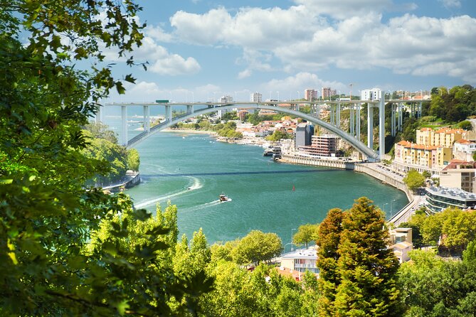 Porto and Gaia: Walking Tour of Douro's Two Riversides - Arriving in Gaia: wine cellars, the UNESCO Serra do Pilar view, and street art