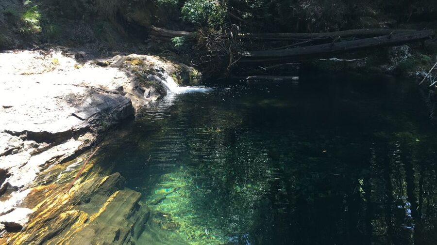 Porto and North coast Exclusive & Secret Waterfalls in 4x4 - Should you book Porto and North Coast Exclusive & Secret Waterfalls in 4x4?
