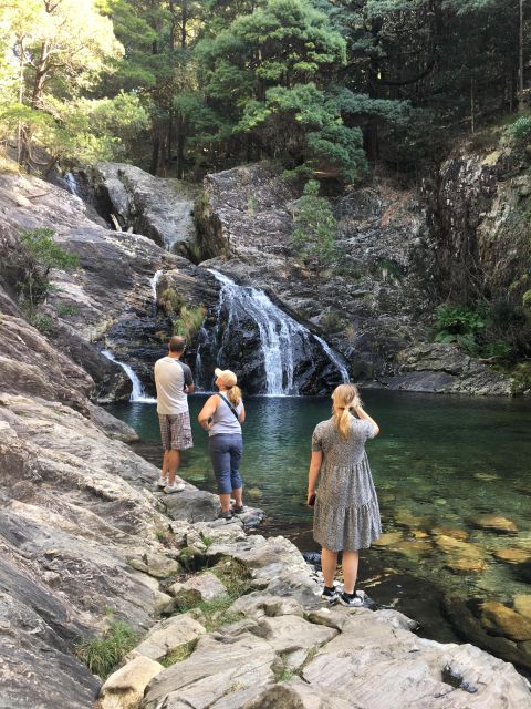 Porto and North coast Exclusive & Secret Waterfalls in 4x4 - Fisherman village return: Angeiras, fish market energy, and real Porto-region life