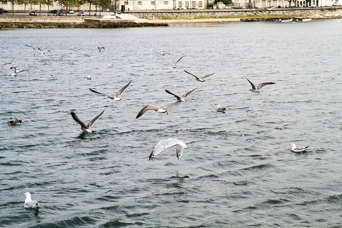 Porto: Authentic Portuguese Cuisine Boat Tour - Douro River Sailing + Lunch at a Riverside Restaurant