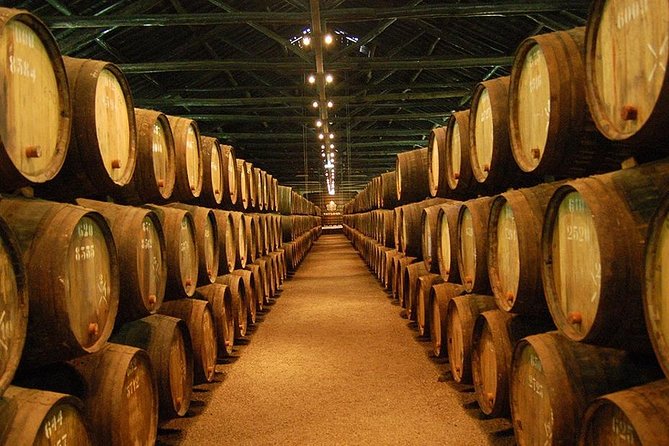 Porto Best-Of Private Tour – A Customizable Experience - Atlantic Coast viewpoints and Porto District free time