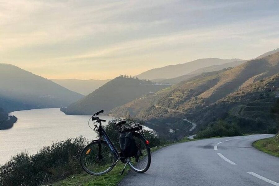 Porto: Bicycle Rental - City parks’ bike paths: your low-stress insurance policy