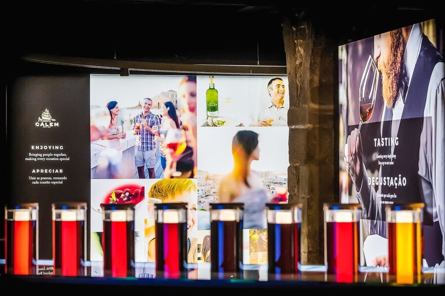 Porto: Cálem Cellar Tour, Fado Show & Wine Tasting - The 30-Minute Cálem Cellar Tour: What You Actually Learn