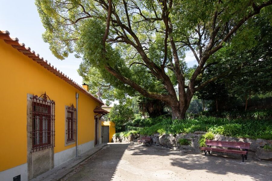 Porto: Casa São Roque Direct Entry Ticket - Rules That Shape Your Visit: Photos, Pets, Food, and Cameras