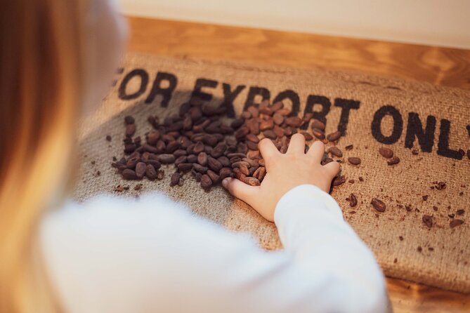 Porto: Chocolate Museum - Chocolate’s Delicious Journey + Tasting - The working Vinte Vinte factory: seeing chocolate being made