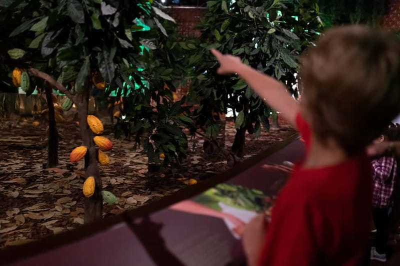Porto: Chocolate Museum - Unwrap the Secrets of Chocolate - Where it fits in your Porto day