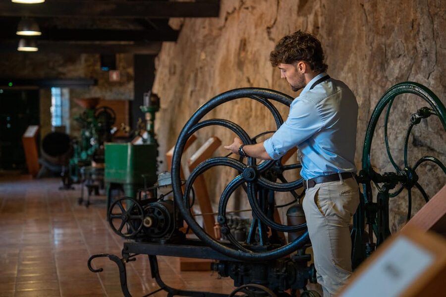 Porto City Full Day Minibus Tour, Wine Tasting & Six Brigdes - Key takeaways before you go