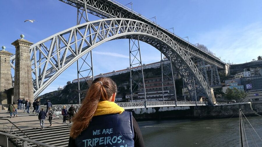 Porto: City Highlights Guided Segway Tour - The Segway lesson: where first-timers gain real confidence
