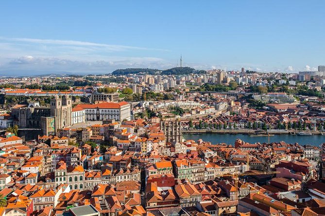 Porto City Tour Half Day - Private - Price and value: why $143.61 can make sense here