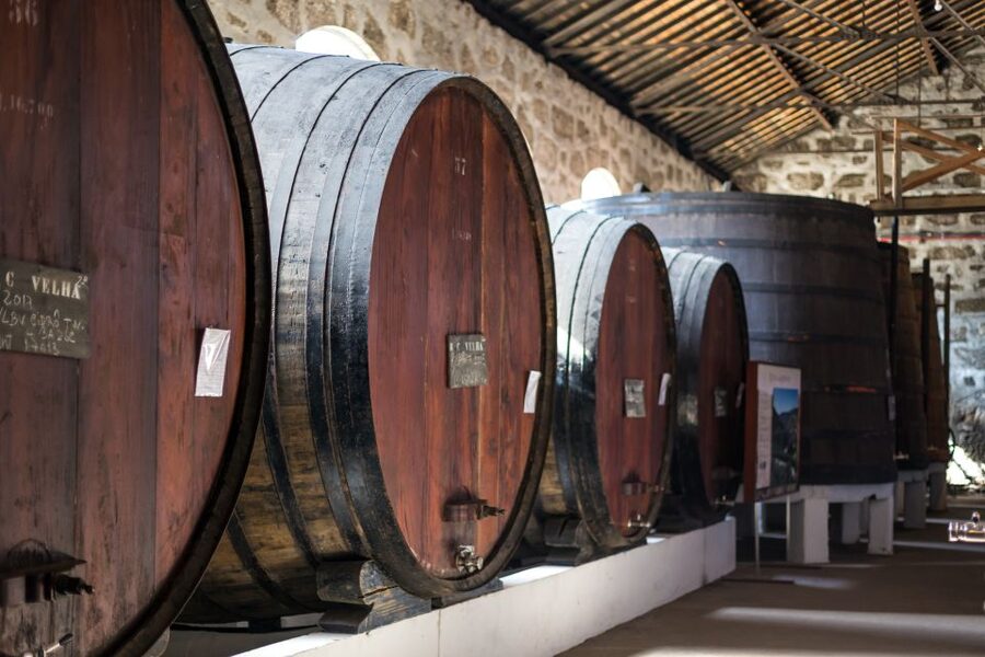 Porto: City Train Tour, River Cruise & Wine Cellar - Down to Ribeira for the 1-Hour Douro Boat Cruise