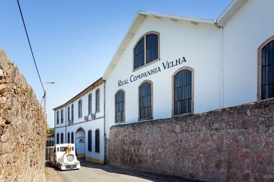 Porto: City Train Tour, River Cruise & Wine Cellar - Should You Book This Tour or Skip It?