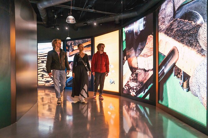 Porto: Cork Museum - Interactive and Family Friendly Museum - From Cork Harvesting to Wine Stoppers (And Past Them)