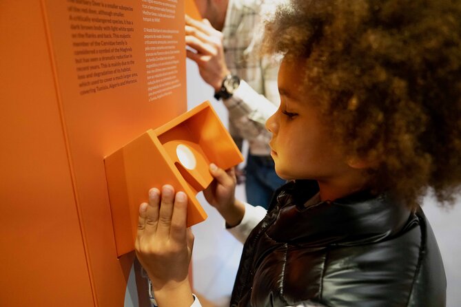 Porto: Cork Museum - Interactive and Family Friendly Museum - Hands-On Fun for Kids (And Calm for Adults)