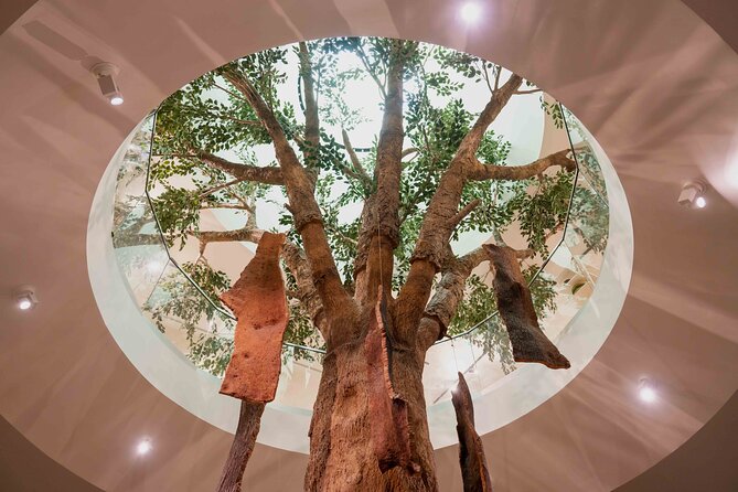 Porto: Cork Museum - Interactive and Family Friendly Museum - Practical Logistics: Getting In and Making It Fit Your Day
