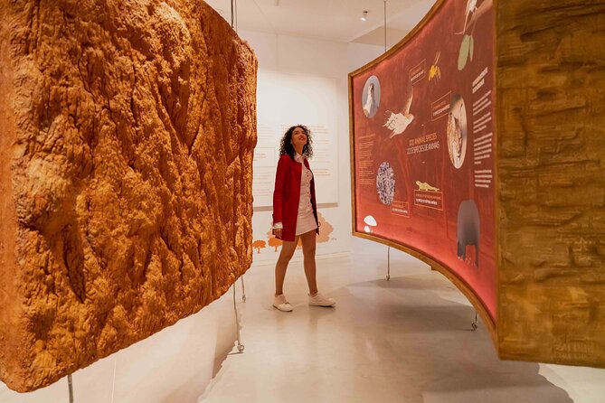Porto: Cork Museum - Interactive and Family Friendly Museum - The Cork-Oak Replica and Indoor Ecosystem Area