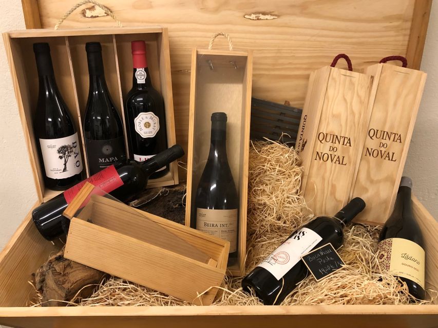 Porto: Craft Beer, Porto Secrets, and Wine Tour - Craft beer in Porto: your first tasting flight
