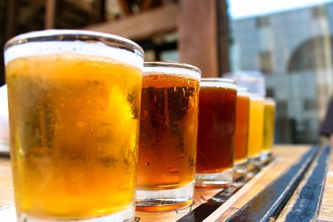 Porto: Craft Beer Tasting Tour with Local Snacks - Who Should Book This Craft Beer Tour in Porto