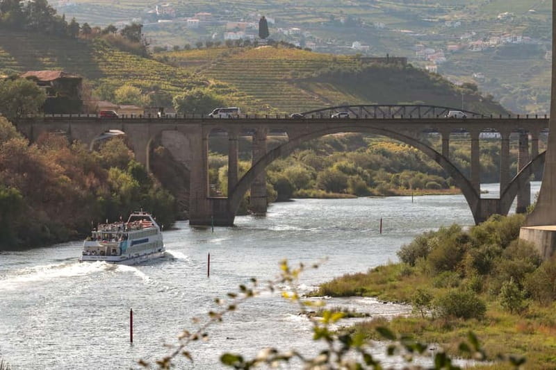 Porto: Cruise with Dinner & Live Music - Ribeira Quay to Porto Lights: What you’ll actually see at night