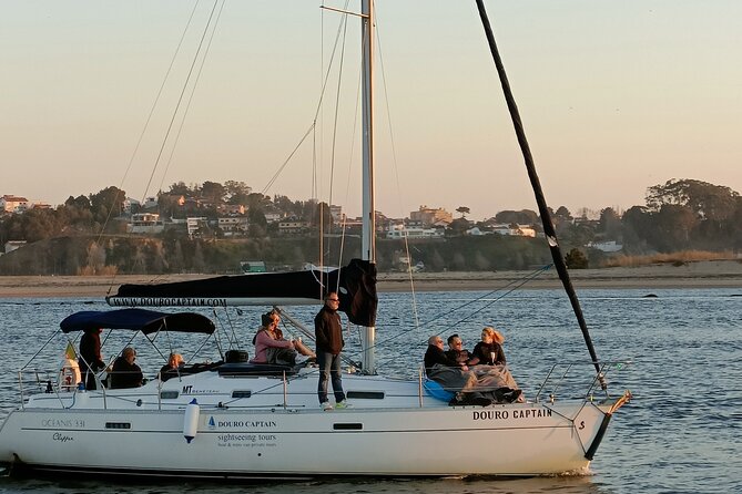 Porto: Cruzeiro privado rio douro até 8 pessoas com wine tasting - A private Douro sail is the fastest way to get your bearings