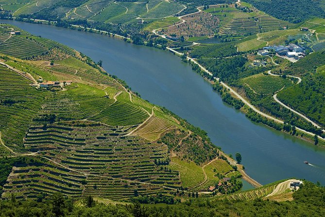 Porto: Day Trip to Douro including lunch and Rivercruise - Vineyard estate walk + multiple tastings: hands-on time you can actually feel
