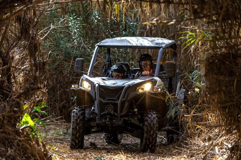 Porto: Dirt and Dust Tour by Oporto Buggy - Key things you’ll really notice on this buggy tour