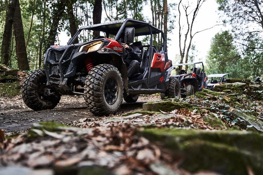 Porto: Dirt and Dust Tour by Oporto Buggy - Price and value: is $94 for a group really fair?