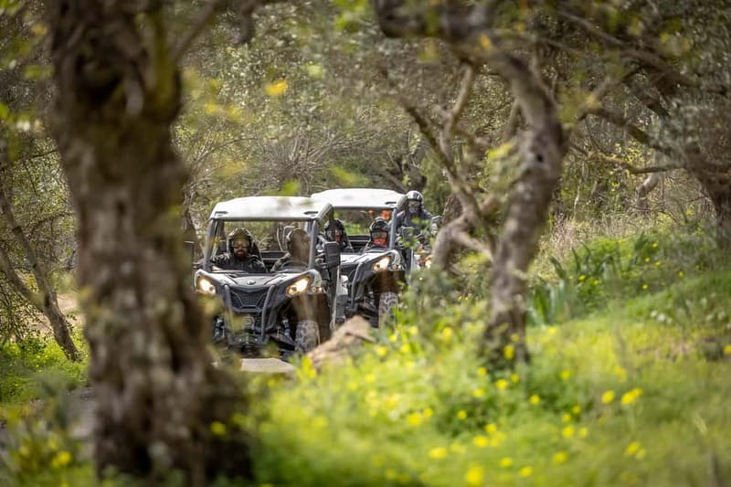 Porto: Dirt and Dust Tour by Oporto Buggy - Porto’s Dirt and Dust Tour: what you’re signing up for