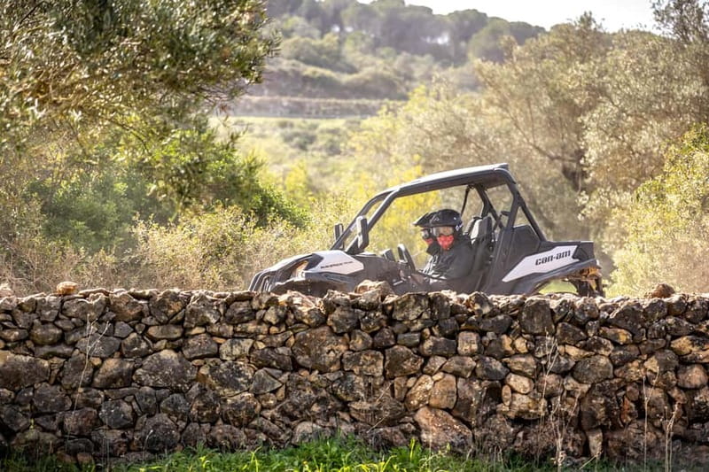 Porto: Dirt and Dust Tour by Oporto Buggy - Driving vs. riding: how the two-seat buggy shapes your experience