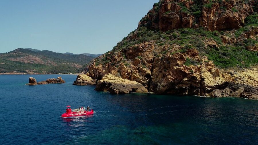Porto : Discovery of the marine fauna and flora/Bay of Porto - A 45-Minute Semi-Submarine Ride Over Porto Bay’s Seabed