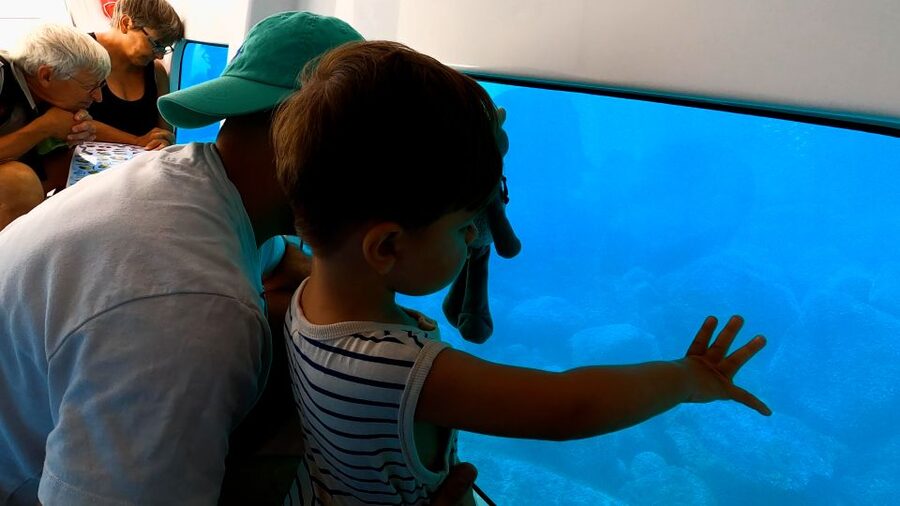 Porto : Discovery of the marine fauna and flora/Bay of Porto - What You Actually See Through the Windows: Fauna, Flora, and Calanche