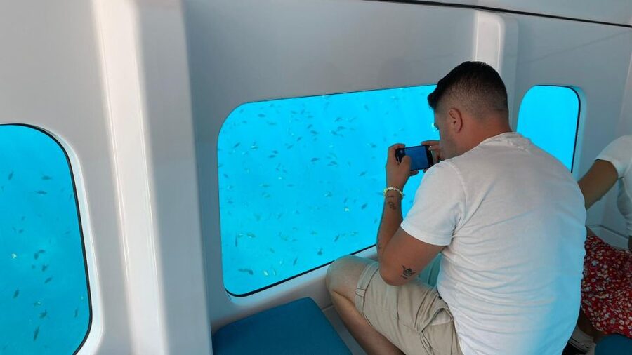 Porto : Discovery of the marine fauna and flora/Bay of Porto - Practical Tips: Meeting the Corse Emotion Semi-Submarine and Making It Smooth