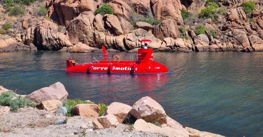 Porto : Discovery of the marine fauna and flora/Bay of Porto - Should You Book the Porto Bay Semi-Submarine Tour?