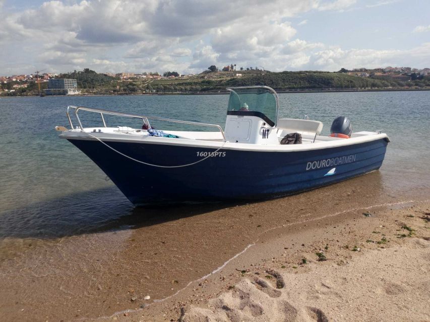 Porto: Douro River Cruise w/ Portuguese Wines & Local Host - Who should book this Porto-Douro cruise