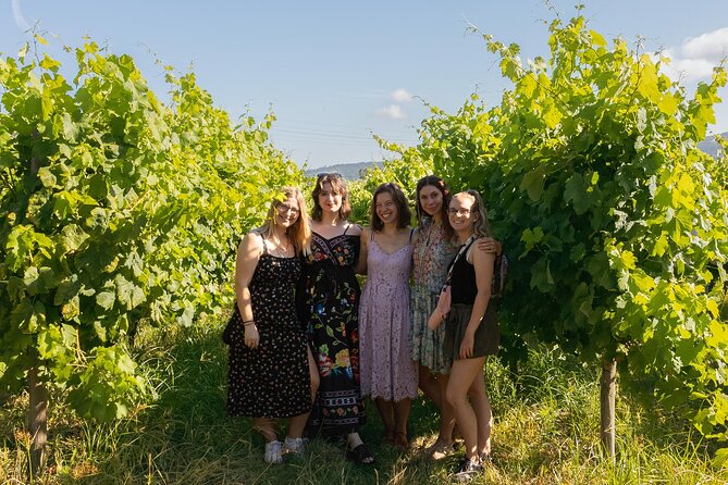 Porto: Douro Valley, 2 Wine Regions, Sommelier, Boat Trip & Lunch - Valença do Douro viewpoint: a short stop that still pays off