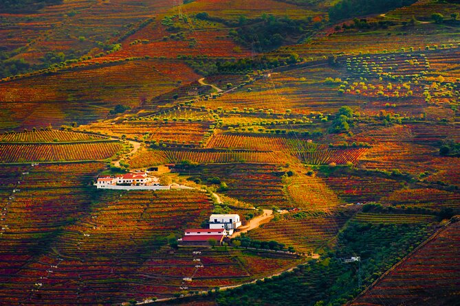 Porto: Douro Valley, 2 Wine Regions, Sommelier, Boat Trip & Lunch - A one-hour Douro boat cruise from Pinhão: the best photo hour