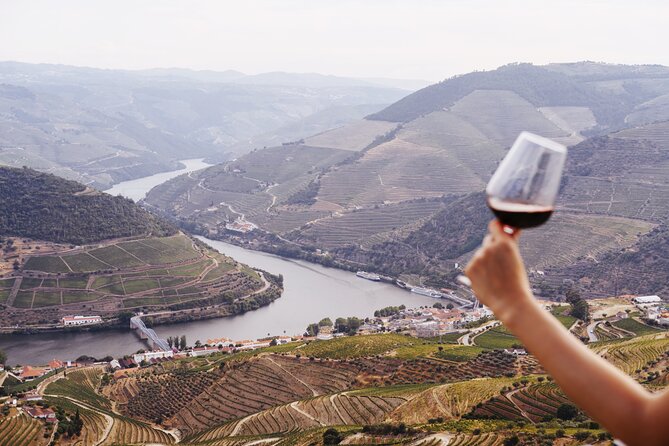 Porto: Douro Valley, 2 Wine Regions, Sommelier, Boat Trip & Lunch - What you’ll really learn about wine (not just drink it)