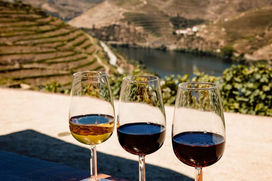 Porto: Douro Valley & Amarante Wine, Food & River Tour - Quinta Stop: Port Tasting Comes With Real Context