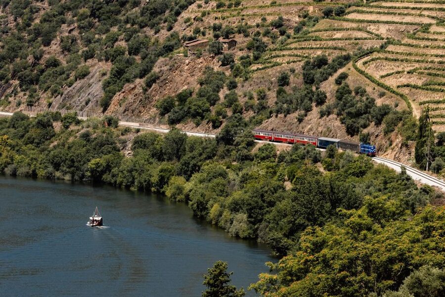 Porto: Douro Valley Full-Day Boat, Train, and Lunch Tour - Van-to-viewpoint: why that first stop matters