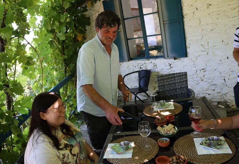 Porto: DOURO VALLEY Half-day Tour - Key things I’d book this for