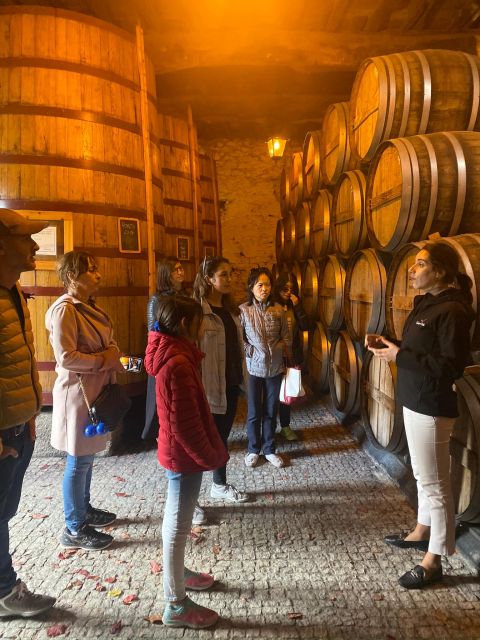 Porto: DOURO VALLEY Half-day Tour - Should you book this Porto to Douro half-day tour?