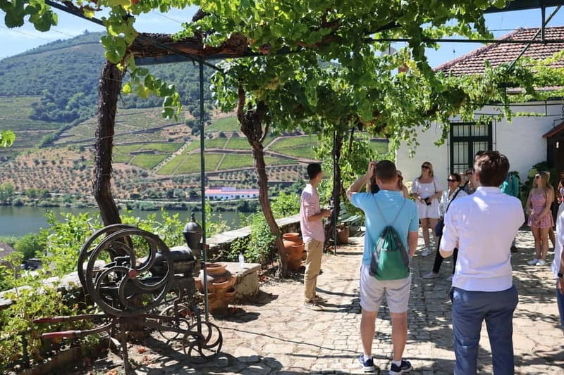Porto: DOURO VALLEY Half-day Tour - Winery time at a boutique estate: tasting, tour, and local bites