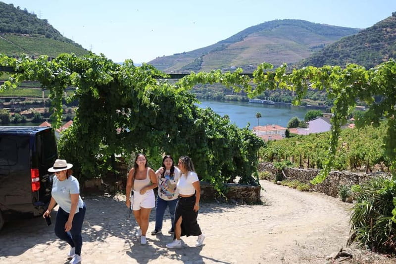 Porto: DOURO VALLEY Half-day Tour - Pinhão plus a river boat bonus on the Douro