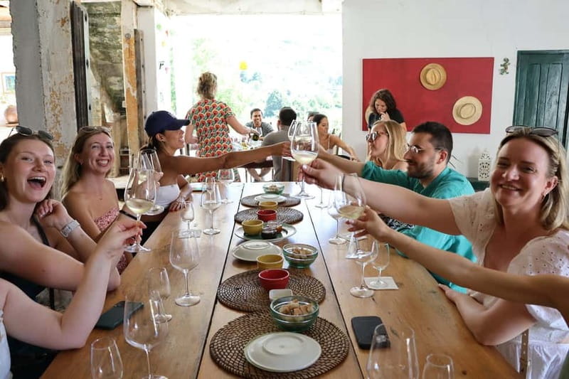 Porto: DOURO VALLEY Half-day Tour - The guide factor: from artful storytelling to fun trivia